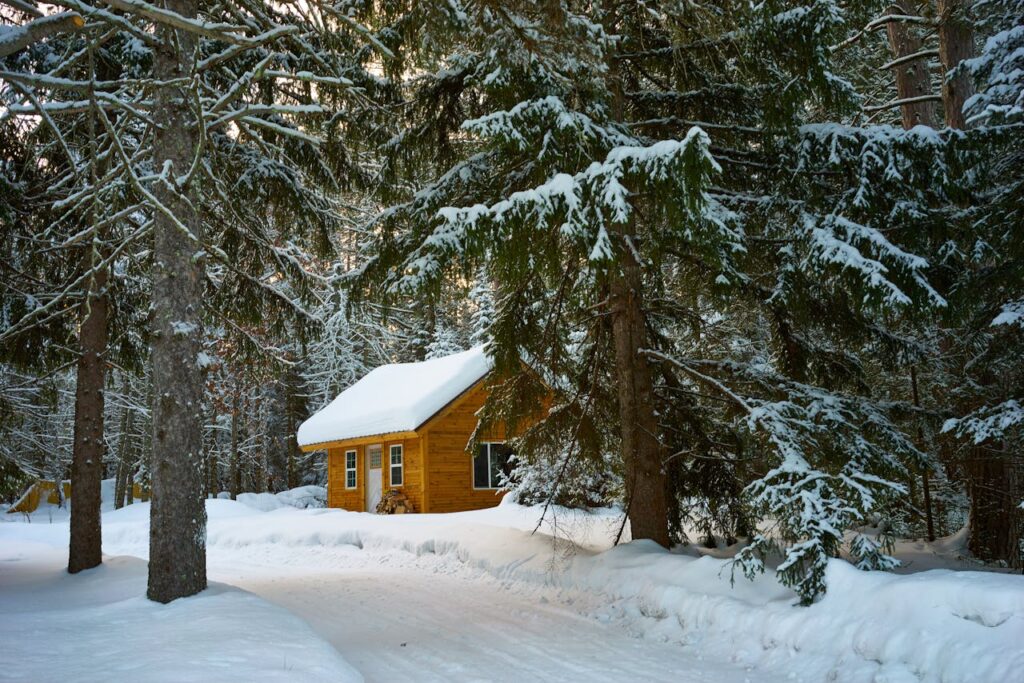Haus Holz Natur Wald Schnee 8 Gründe, warum sich ein Gartenhaus aus Holz lohnen kann