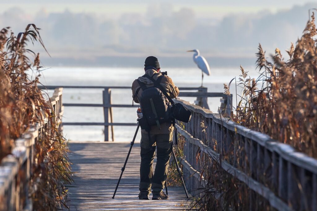 Mann Fotografie Silberreiher Fotograf werden – so gelingt es!